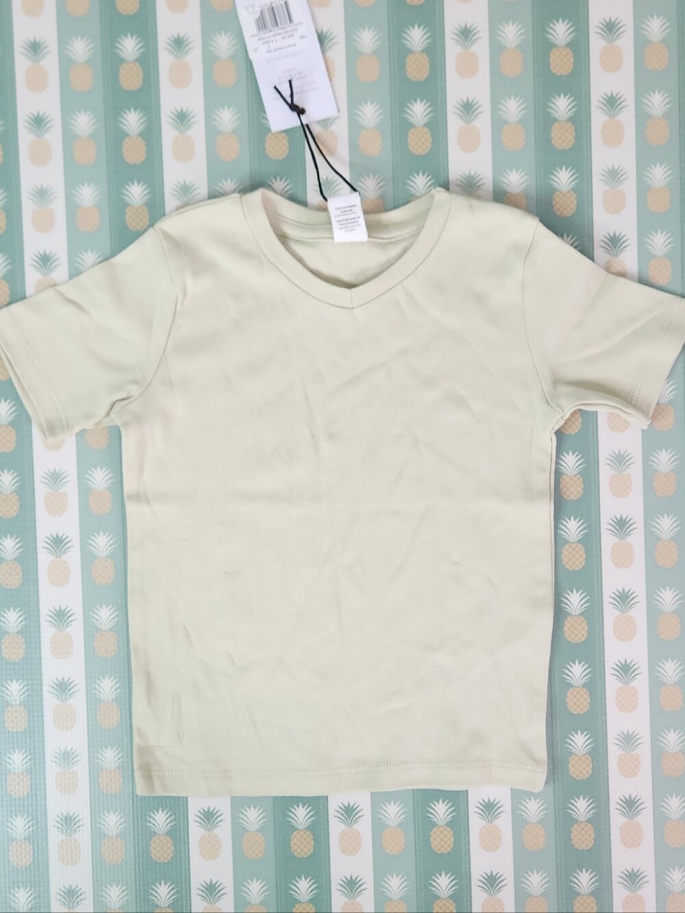 Colored Organics Sage Knox Shirt